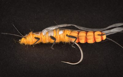 Salmon Fly Orange Adult #2 - biiig!