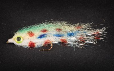 Fish Streamer #10 unweighted colored